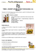Apprentissage Social