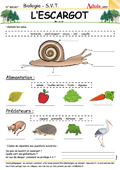 Fiches pedagogiques d